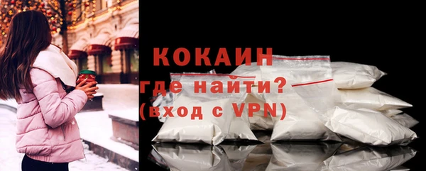 PSILOCYBIN Бородино