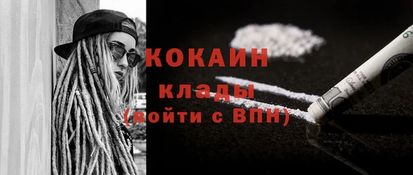 PSILOCYBIN Бородино