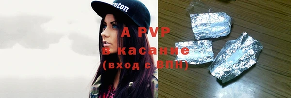PSILOCYBIN Бородино