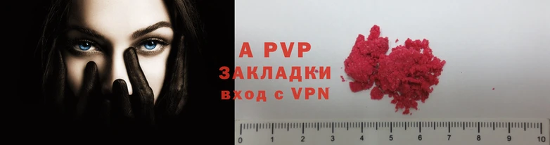 PSILOCYBIN Бородино