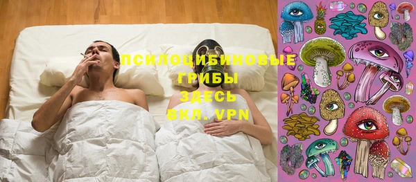 PSILOCYBIN Бородино