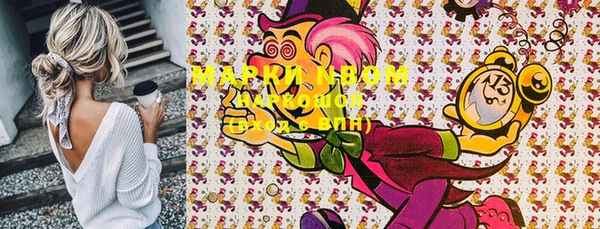 PSILOCYBIN Бородино