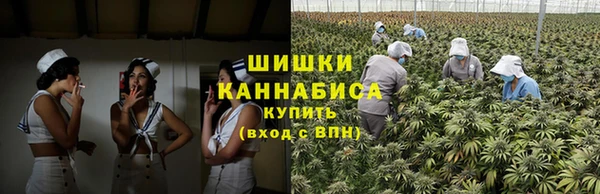 PSILOCYBIN Бородино