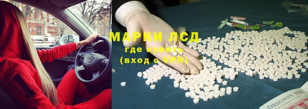 PSILOCYBIN Бородино
